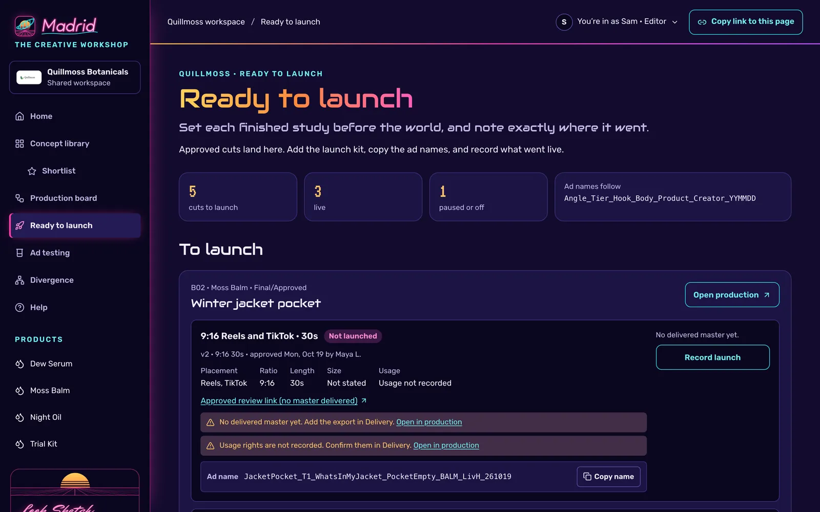 Ready to launch for a sample brand: five cuts to launch, three live and one paused. An approved 9:16 cut lists its placement, ratio, length, size and usage, two warnings, and a generated ad name with a Copy name button.